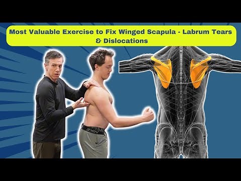 Most Valuable Exercise to Fix Winged Scapula (Fully Protect from - Labrum Tears & Dislocations)