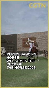Peru's dancing horses welcomes the Year of the Horse 2026