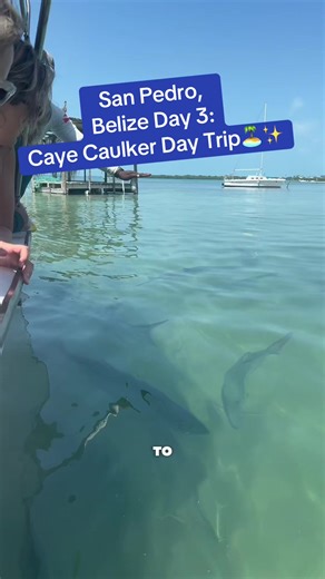 Yall Forreal Everything This Day Was TOO GOOD! Tour Was About 7/8 Hours With Ridge Reef Adventures. Our Guides Were Danny and Pooch And I Loved Them!! They Were So Funny Lol ✨🏝️ I Haveee To Go Back To Caye Caulker To Eat Lobster At Chef Kareem’s Cause We Were Too Late But I Have No Regrets Cause The Food We DID Have?! BOMB😭😭😭 I Could Literally Cry It Was So Good. Let Me Know If Yall Want Price Breakdowns And Stuff. ✨🫶🏾 #BlackTikTok#TikTokPartner#SanPedroBelize#TravelTok#CayeCaulker