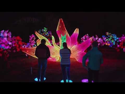 Tianyu Lights Festival Phoenix 2025 | Tickets on Sale Now!