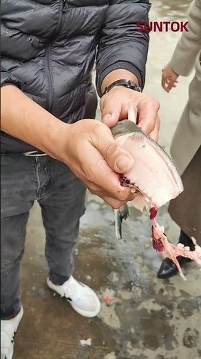 Factory use CNC fish fillet machine