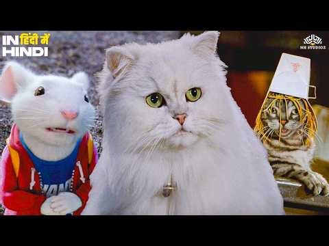 छुए बिली की नोक झोक | Stuart Little’s Funniest Adventures 🐭😂 | Snowbell & Stuart