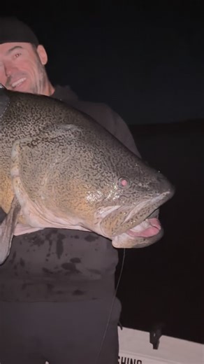 This giant fish made my week! After a week of guiding on Copeton watching Tom land 18 cod I decided I needed to have one last crack myself before I make the track home! The fish progressively got less and less active with the moon phase but when you land one of this calibre it makes for an easy drive home, even on three hours sleep. This is a new Copeton PB for me and a good one to beat on the new Baitsanity Carp gill! | Dean Silvester