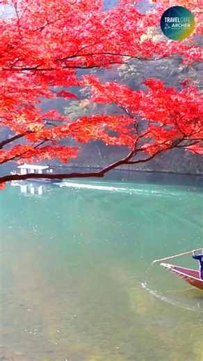 2.7K views · 47 reactions | Travel Japan!! #travel #japan #solotravel #coupletravels #vacation #evolutiontravel #explore #adventure #summertravel | Evolution Travel Cafe | Facebook