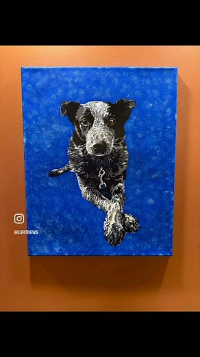 I’m being vulnerable in sharing a moment that brought on some serious ugly crying. My daughter Abby surprised me with a stunning painting of my beloved Merlin, my soul dog. The love and talent she poured into this piece means the world to me. It’s now proudly hanging with the portraits of our other departed pups, a beautiful reminder of the joy they all brought into our lives. Though my heart aches, I’m grateful for the memories and the love that surrounds us. Thank you for your continued love a