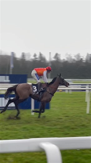 Job done ✔️ Haiti Couleurs wins the William Hill Denman Chase 🏆 | Newbury Racecourse