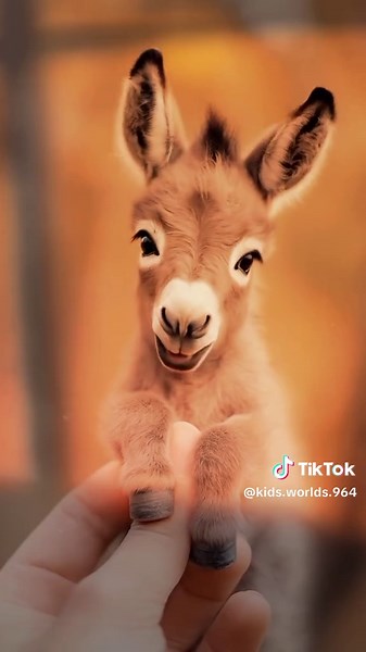 Exploring the World of Cute Cartoon Animals for Kids