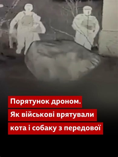 Військові врятували кота і собаку з передової за допомогою дрона. Сталося це, коли бійці 14-ї ОМБр відправляли на позиції їжу для побратимів. 📹 @14ombr #тварини #допомога#дрон#новини#bbcnewsukrainian