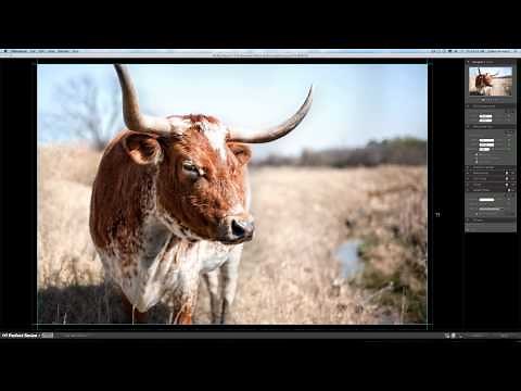 onOne Perfect Resize Preview and Tutorial