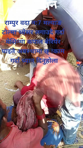 Animal Handling Techniques in Rural Settings