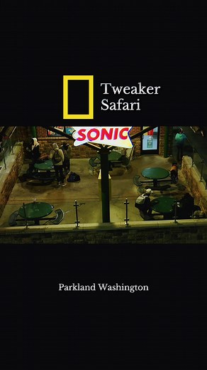 Tweaker Safari discovers tweakers by the dollar tree in sonic in Parkland, Washington #tweaker #Safari #viral, #parkland #homeless