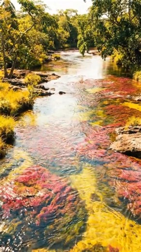 😱 No filters needed: The Liquid Rainbow of Colombia. #shorts