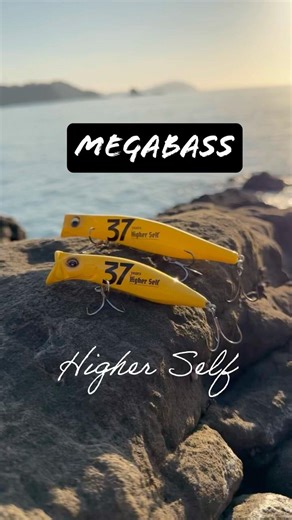 megabass 37years limited