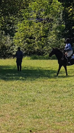 A little “go crazy” energy never hurt a good ride. 😌🐎✨ #BeAnAlly #StridesForEquality #RepresentationInMotion #EventersOfColor #HuntersOfColor #DressageLife | Strides for Equality Equestrians