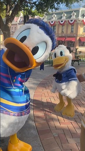 Donald meets Donald Duck #funny #disney