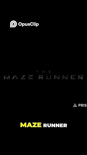 THE MAZE RUNNER: EL MISTERIO DEL LABERINTO EXPLICADO
