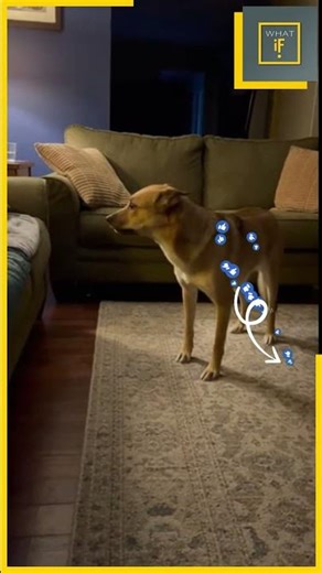 My dog saved my life today. Watch until the end! 🐕🔥