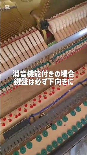 消音ピアノはホコリが大敵！鍵盤下の光センサーにホコリがたまると音が出ないバグの原因に。外した鍵盤は裏の精密部品を守るため必ず下向きに置く！年1回はプロの掃除と調律を #ピアノ調律 #サイレントピアノ