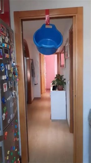 chupapimuñaño😱😅😅😋