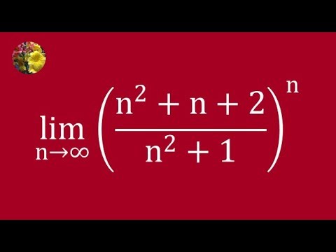 Determining Limits Through Algebraic Techniques