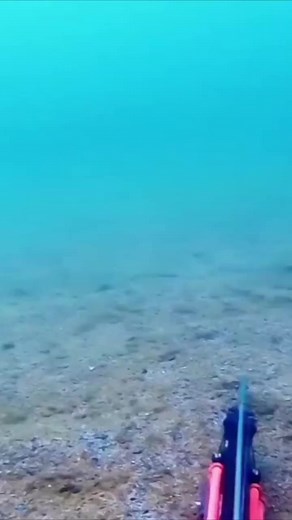 300K views · 1.4K reactions | Spearchannel on Reels | Facebook