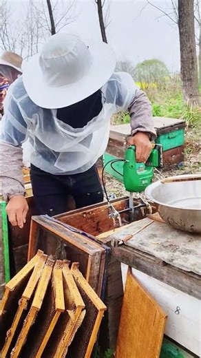 SMOOTH Harvest! Watch this ELECTRIC Bee Shaker Work 🔋