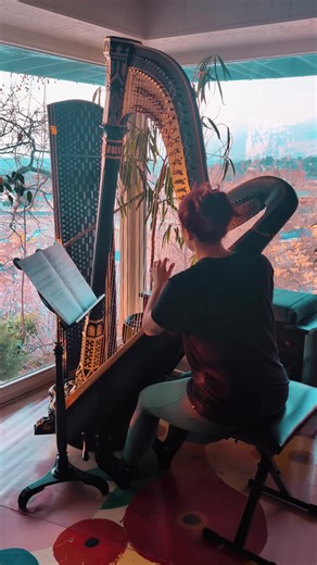 friday practice 💗 two #harp #harpist #practice #avemaria