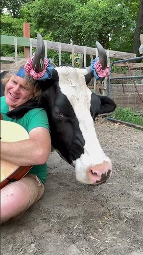 Great White Save Your Love