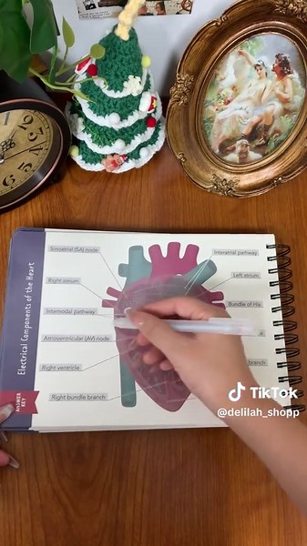 Master Anatomy & Physiology with This Fun Study Tool