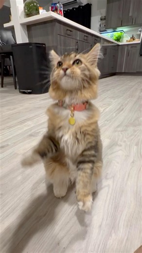 Theodore learning “sit up”