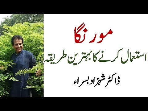 How to use moringa for maximum benefits by Dr Shahzad Basra
