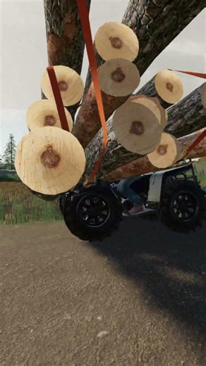 FS19 PHYSICS💀