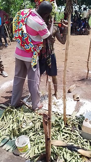 Exploring Bagisu Circumcision Traditions in Uganda
