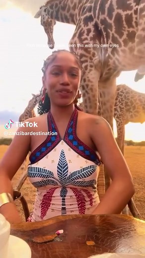 Explore Tanzania's Unique Safari and Beach Getaways