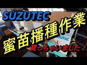 蜜苗の播種作業です！