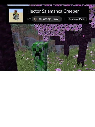 Minecraft Breaking Bad Salamanca Character Mod Guide