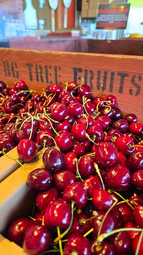 When Okanagan cherries, local raspberries, and fresh local flowers all show up on the same day... It’s giving “treat yourself” energy 🍒🍒🍒 . . . #BerrySeason #LocalLove #OkanaganCherries #FreshFlowers #TreatYourself #MainCharacterEnergy #SupportLocal #CherriesAndBlooms #FarmFreshVibes | Hofstede's Country Barn