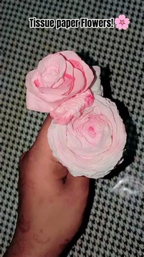 Tissue paper Flowers ❀