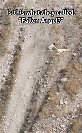 The real fallen angel being captured in a rare footage.