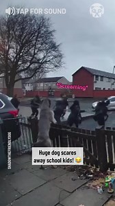 192K views · 986 reactions | Crafty Panda on Reels | Facebook