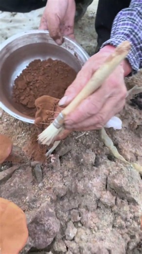 Harvesting Reishi Mushroom Spores