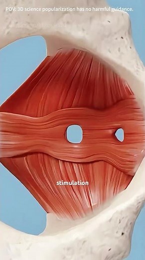 What is V-Tone Procedure and How It Works? (3D Animation) #vtonetreatment #vtonesurgery