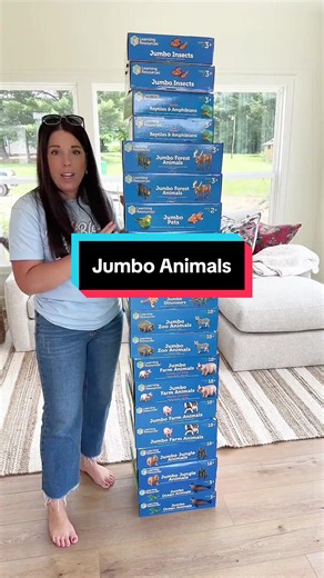 Learning Resources Jumbo Animals: Preschool Activities and Uses
