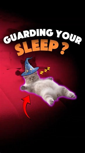 Why Your Cat Sleeps Beside You (It Means More Than You Think)🐱
