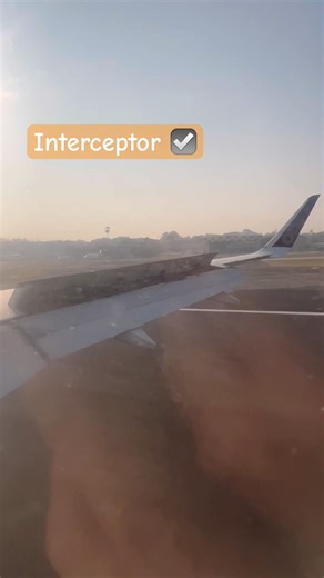 interceptor-What does it do? It is a panel on the wing that pops up into the airflow #aviationgeek