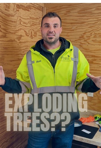 Exploding Trees: Understanding Winter Phenomenon in MN & WI