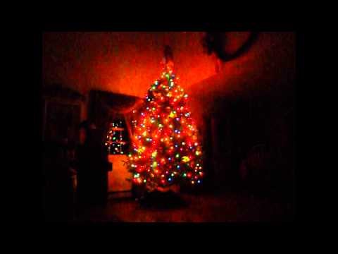 Projection Mapped Christmas Tree