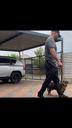 Man’s best friend 🐾.