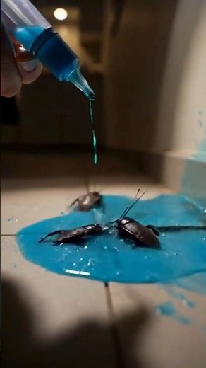 DIY Cockroach Killer Using Sugar, Baking Soda & Detergent #cockroachkiller