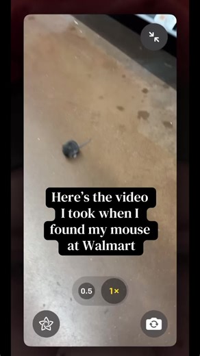 Discovering My Walmart Mouse: A Heartwarming Find